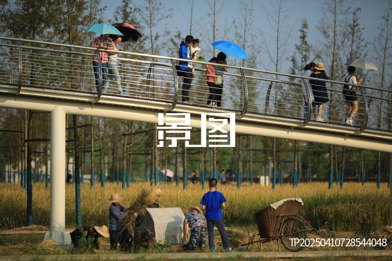 城头山国家考古遗址公园10