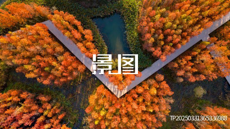 南昌鱼尾洲公园精选42