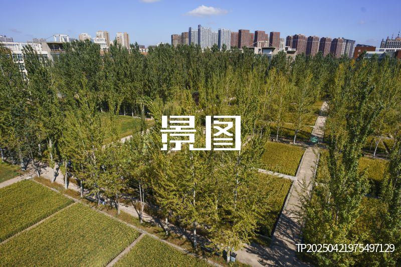 沈阳建筑大学稻田校园017