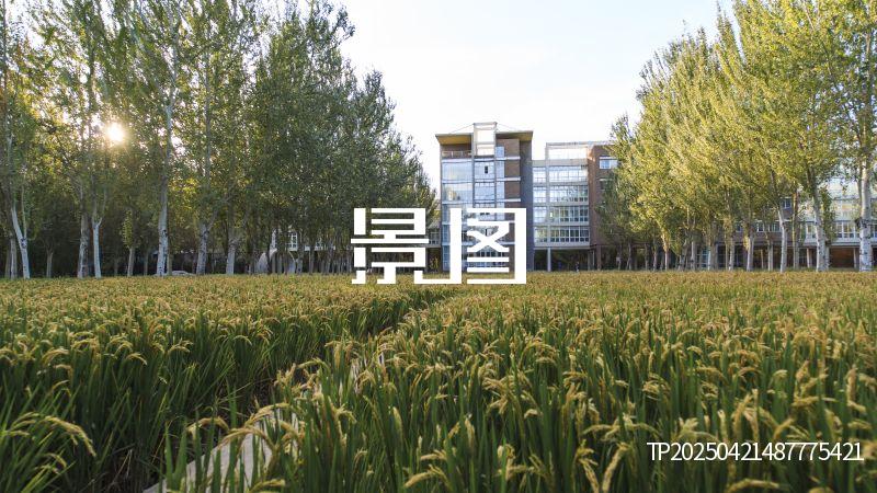 沈阳建筑大学稻田校园030