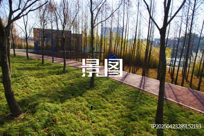 义乌滨江公园46