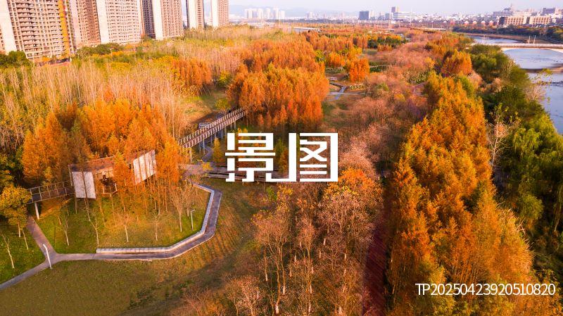 义乌滨江公园27
