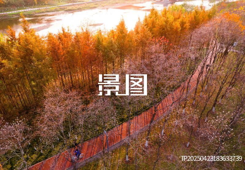 义乌滨江公园28