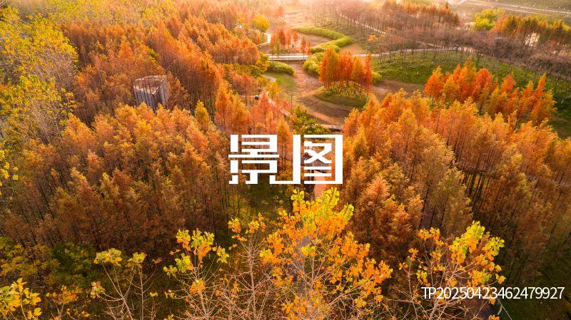 义乌滨江公园29