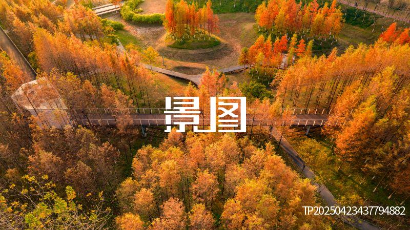义乌滨江公园30