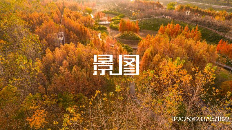 义乌滨江公园31