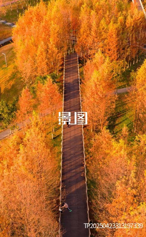 义乌滨江公园32