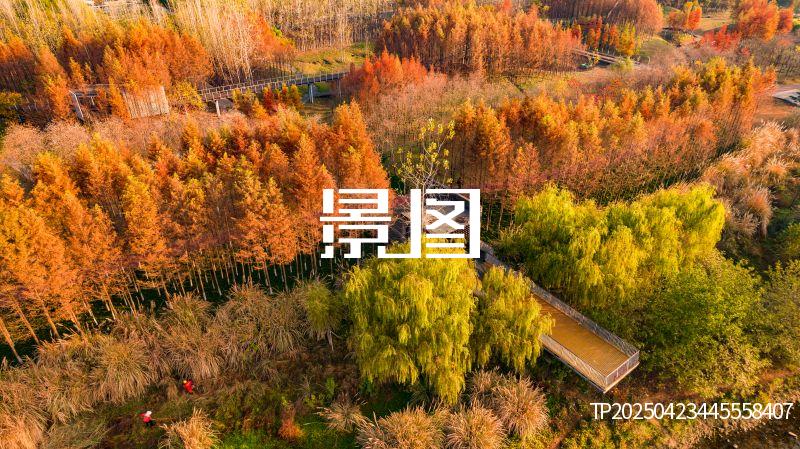 义乌滨江公园33