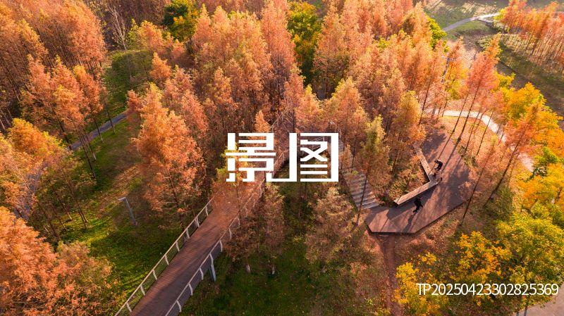 义乌滨江公园36