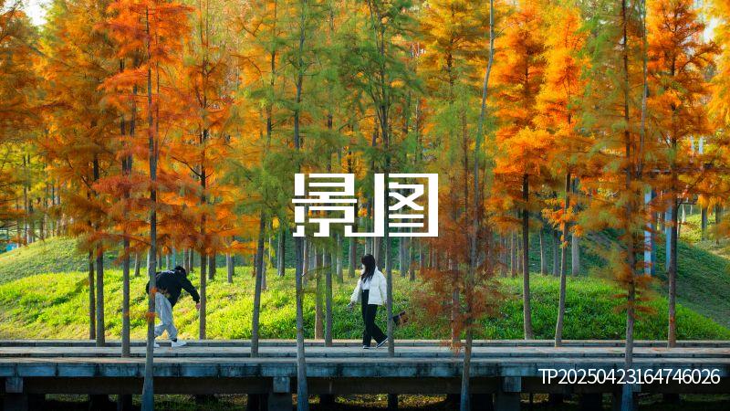 义乌滨江公园40