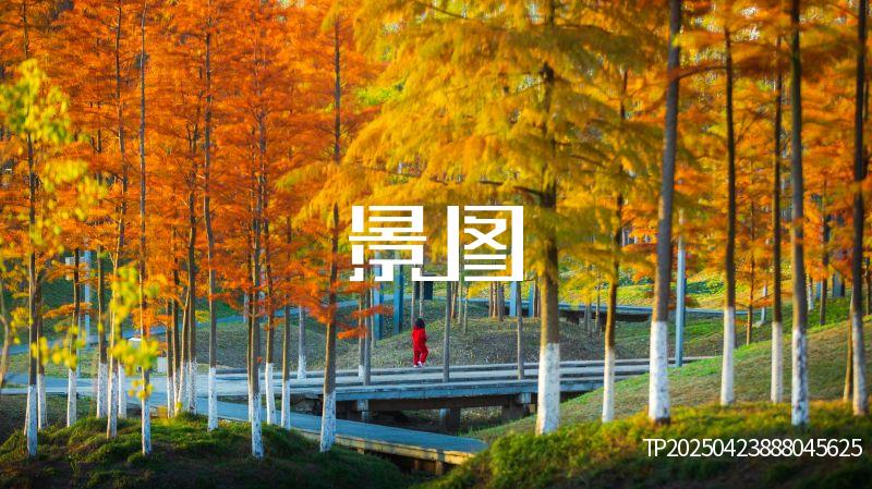 义乌滨江公园41